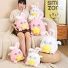 Rabbit Angel Cute Cuddle Star Stuffed Toy Cartoon Girl Sleeping Holiday Gifts