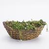Jardinière vintage en ciment, motifs de racines d'arbres en résine pour plantes succulentes et bonsaïs, décoration de bureau, intérieur ou extérieur