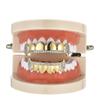 Hiphop Grillz Mode Leuchtende Körper Jewelry Mann Trendig Gold / Silber Kupfer Mit Zirkonia Punk Zahn Grillz