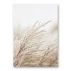 Paddestoel Katoen Zand Decoratie Poster Gift Scandinavische Stijl Prints Woonkamer Muur Canvas Schilderij Modern Home Decor Esthetische