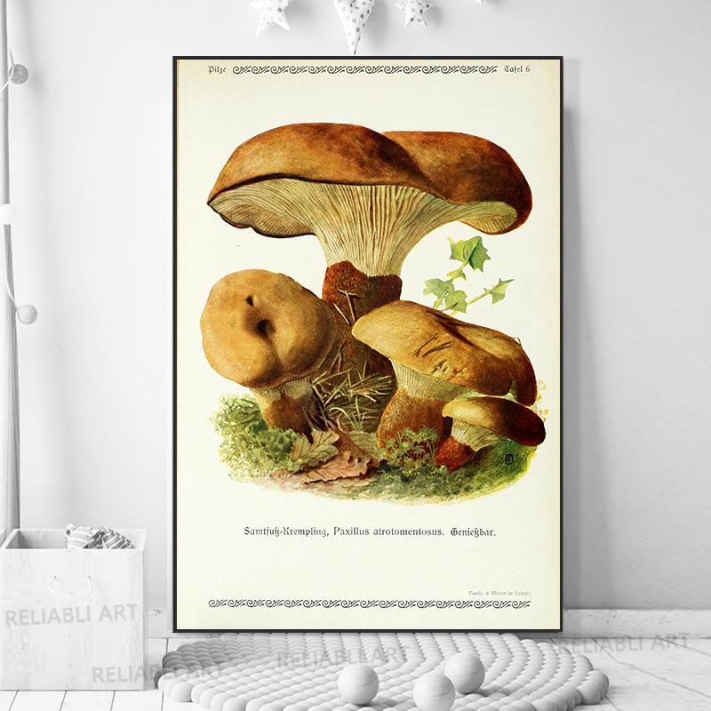 Vintage Mushroom Exemen Malba na plátně Starožitné umění na zeď Bylinné obrazy Vědecké plakáty a grafiky Dekor domácí kanceláře Cuadros