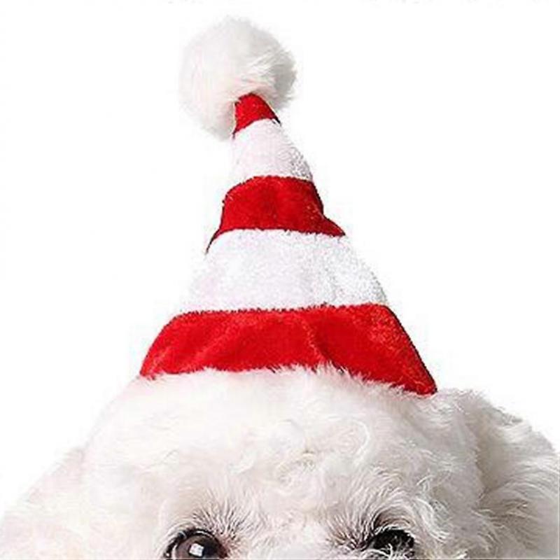 Christmas Dog Hat Pet Adorable Cap for 2Pcs Festive Accessory Set