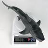 Large Megalodon Model: Prehistoric Spiky Shark Aquarium Decoration
