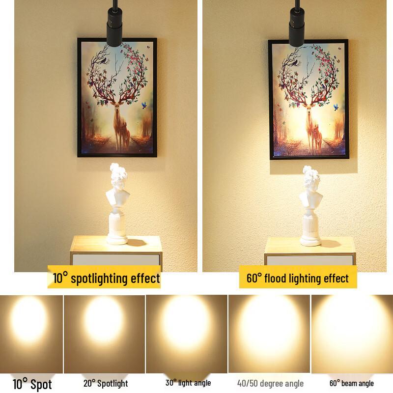 NuFeng 30W Zoomable COB LED Track Spotlight