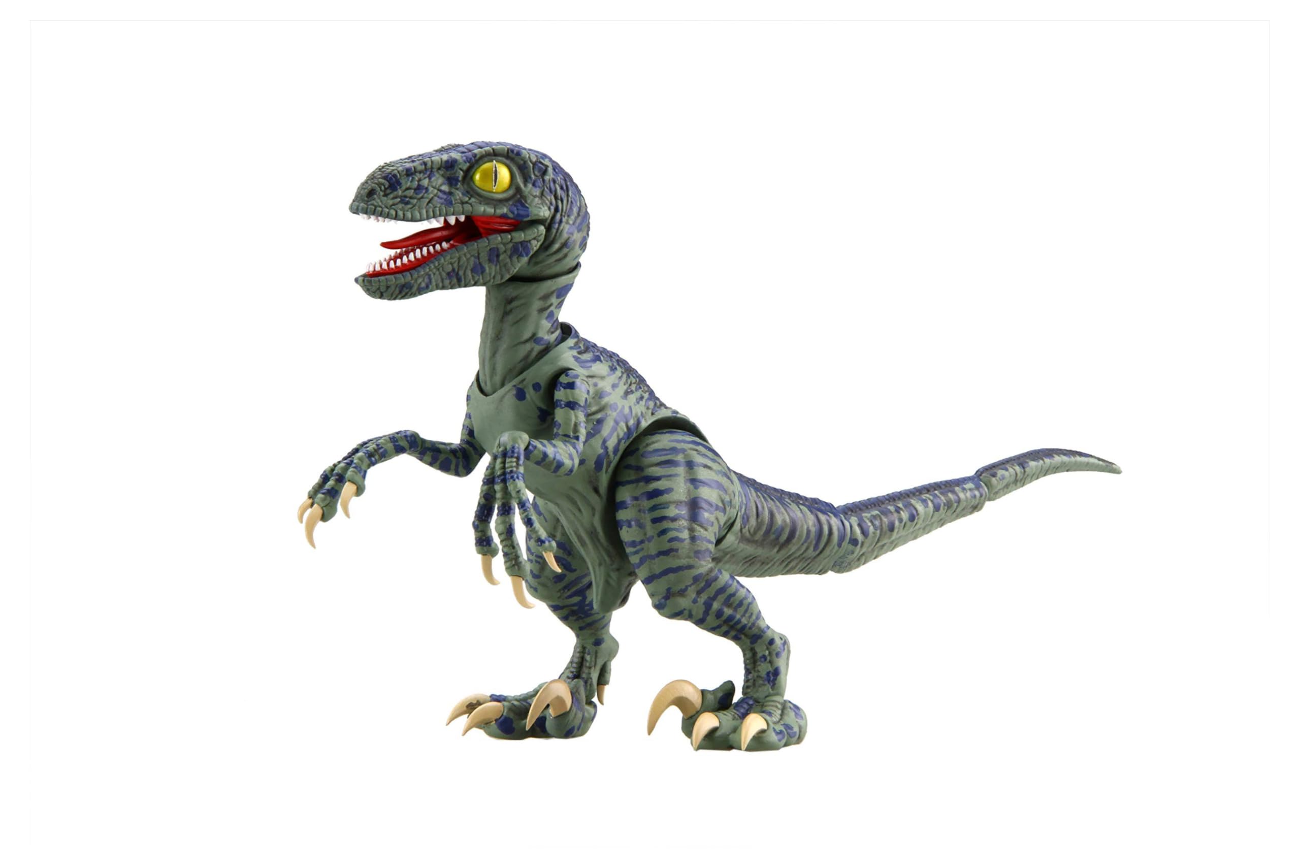 

Fujimi Model Free Research Series No. 3 Dinosaur Edition Velociraptor Free Research 3