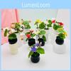 Lotus Plastic Potted Green Plant Potted Plant For Home Living Decor Room