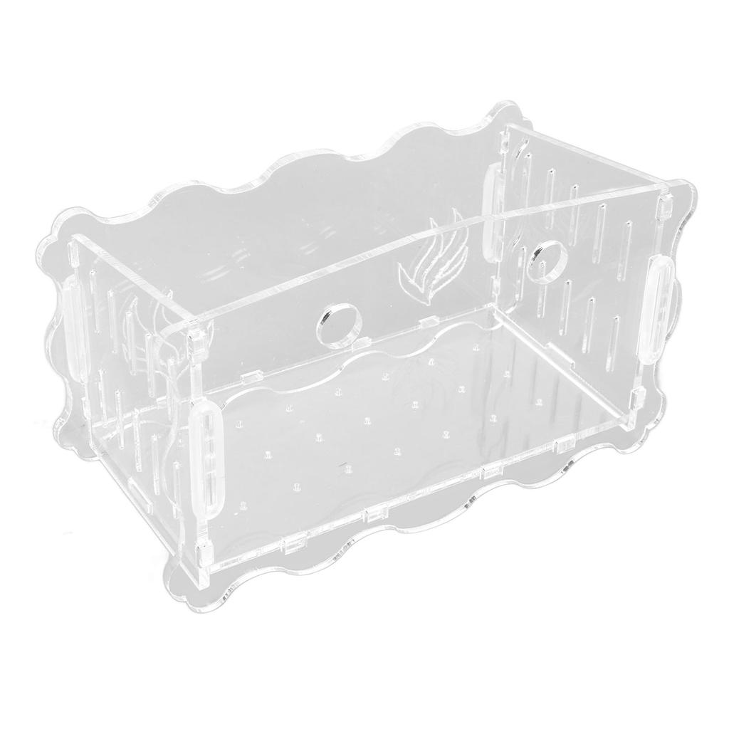 Pflanzbecher Acryl Transparent Durchlässiges Loch Sicher Blumentopf mit Saugnapf für Fische