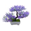 Low Maintenance Lifelike Bonsai No Watering Needed