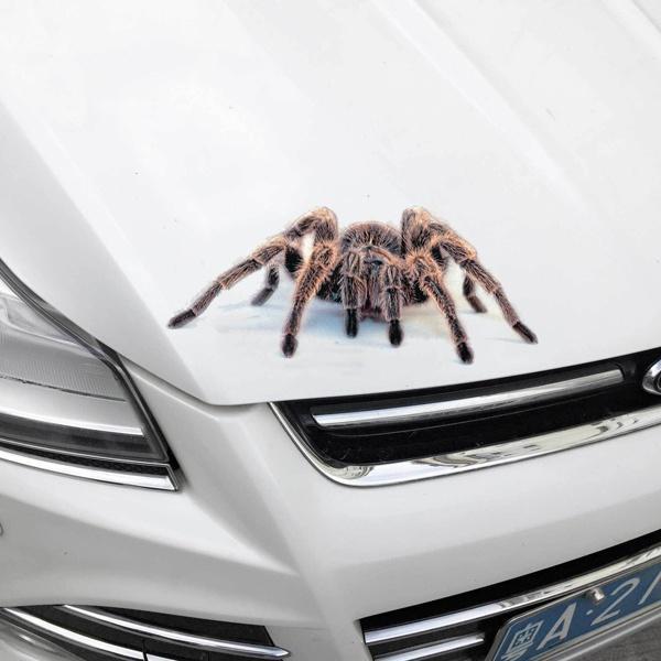 15/ cm Scorpion de voiture Stickers Autocollant de voiture Cool Stickers pour fen/être de voiture autocollant Rouge