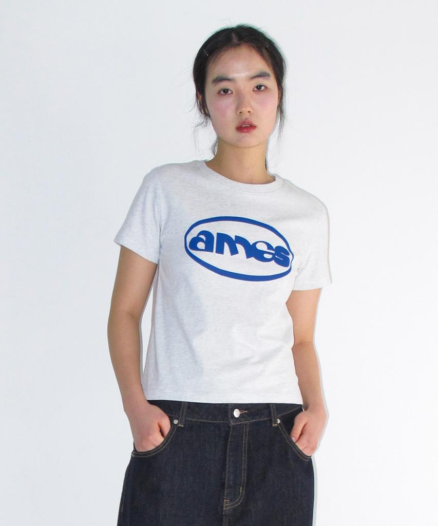 AMES-WORLDWIDE Ames Circle Logo Symbol Tee Light Gray