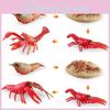 Realistic Pvc Crawfish Growth Cycle Model Detailed Static Display For Education And Decor