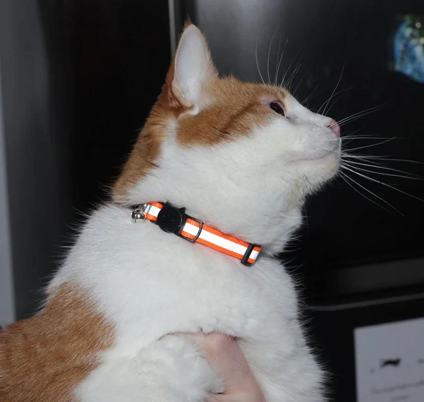 Reflective Cat Collar with Bell Adjustable Nylon Kitten Safe Necklace Collars Buckles For Cute Pets Cat Accessories Supplies