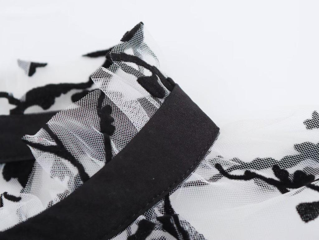 Spring 2025 Women's Fashion: European & American Style Sheer Long Sleeve Top