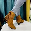 Autumn Winter Ankle Boots for Women, Matte Large Size, Tassel, Mid Heel, Side Zipper, Retro Pointed Toe Women's Boots
