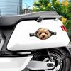 Adesivo Impermeabile per Auto da Cane Design Cerniera Decorazione Auto per Animali Adesivo per Auto da Cane Copri Graffi
