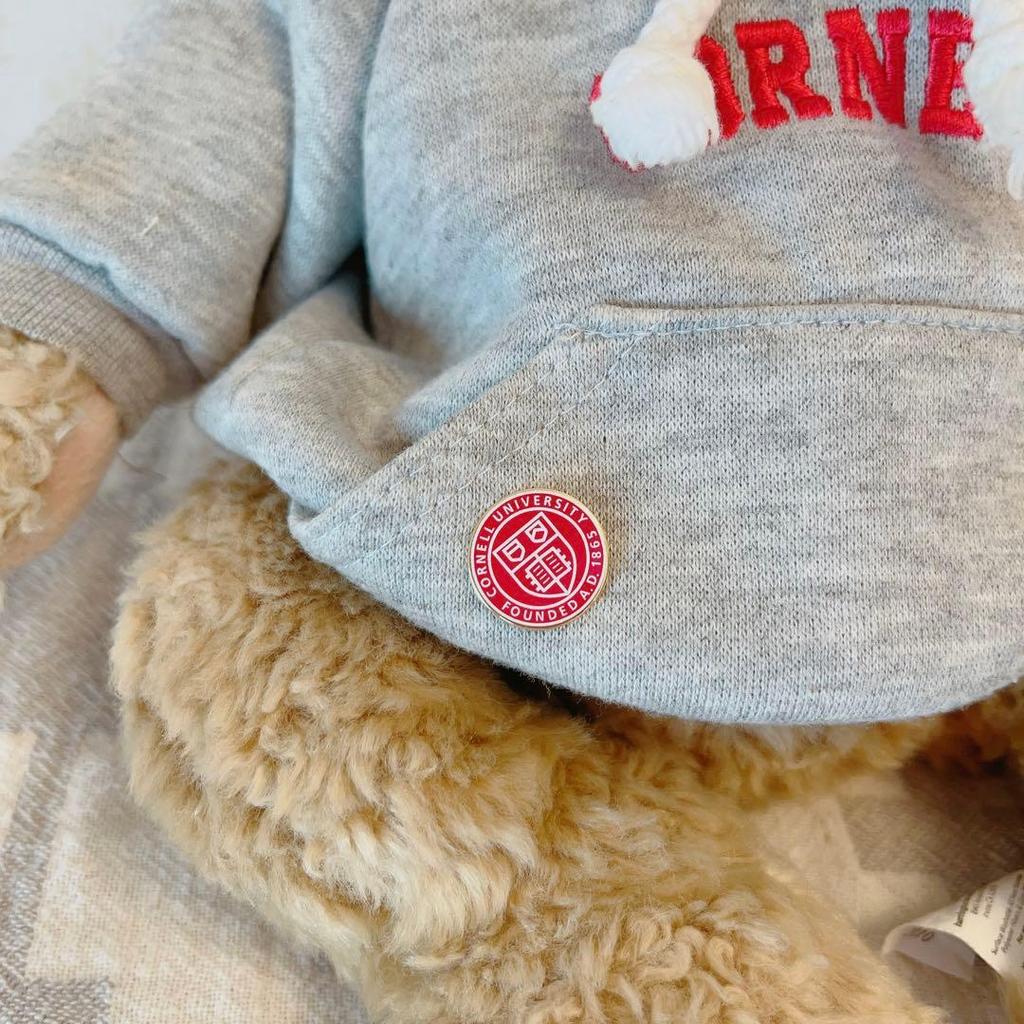 [USED] Rare Item! Cornell University Teddy Bear