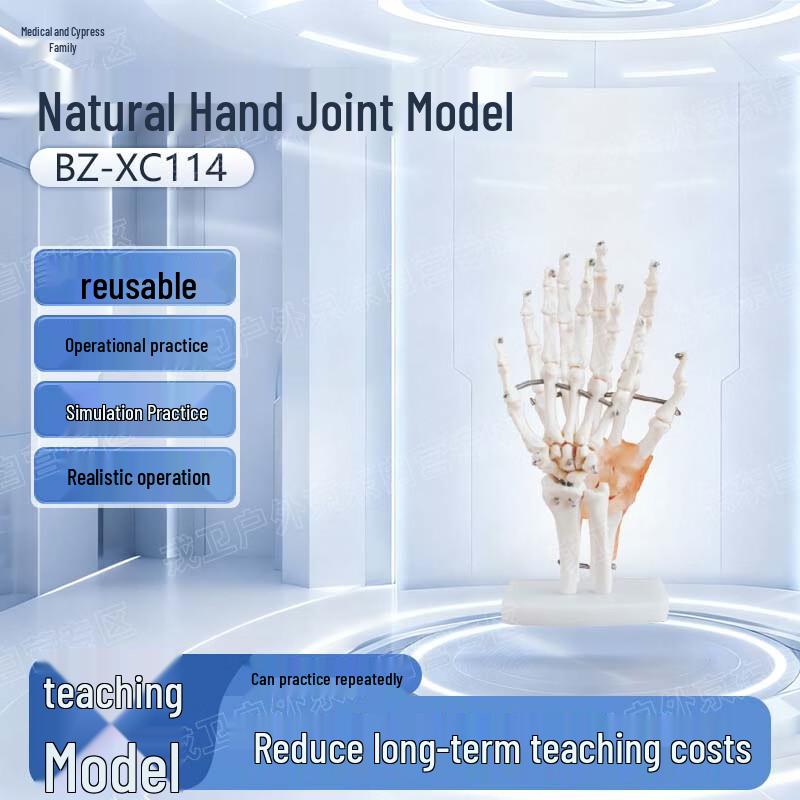YiBaike Natural Hand Joint Model