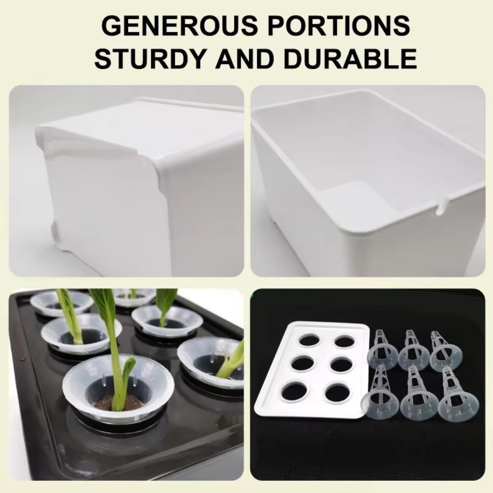Plastic Soil-Free Planting Box Self Watering Nursery Pots  Vegetable Growing