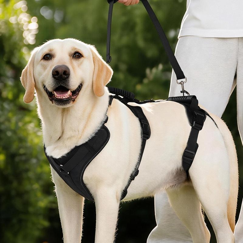 Two-Part Dog Support with Front Walking Section, Rear Support Section, and Side-Release Buckles for Daily Use