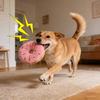 Peluş Donut Köpek Oyuncağı Sesli Etkileşimli Köpek Çiğneme Oyuncağı Dolgulu Donut Yumuşak Yavru Köpek Diş Çıkarma Oyuncağı Kediler ve Köpekler İçin İç Mekan Oyun Çiğneme İçgüdüsü