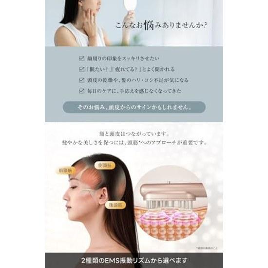 RELX Electric Brush EMS Facial Device Japan Company Planning Lift LED Scalp Care Beauty Appliance Gift Present Rose Gold
