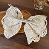 Bohemian Style Hair Accessory with Relaxed Atmosphere, Beige Lace Headband, Women's High-end Hair Tie