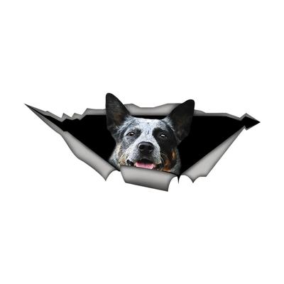 Calcomanías Heeler para autos, vinilos resistentes a la intemperie para ventanas, manualidades para parachoques - Calcomanías de PVC para vehículos