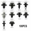 100Pcs Car Trim Clips Rivet Door Panel Retainer Fastener Mud Flaps Push Set