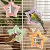 Colorful Beads Star Rotating Parrot Mirror Toy Mirror Parrot Interactive Toy  Bird Supplies