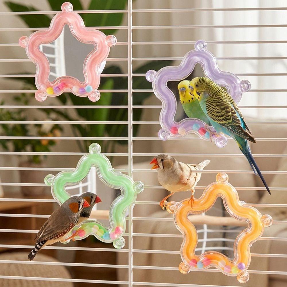 Colorful Beads Star Rotating Parrot Mirror Toy Mirror Parrot Interactive Toy  Bird Supplies