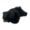 Cute Plush Toy - Squishy Black Bear S Z0381