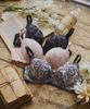 Bra Collection Single Bra for Pink [Nozari] [Elegant 2402] Women,