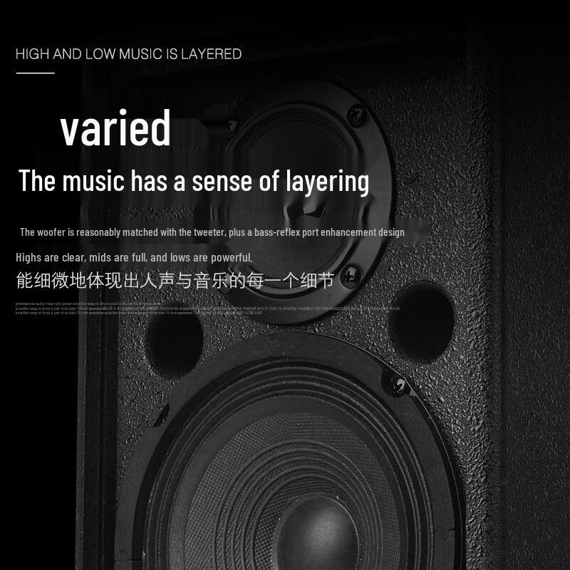 ZMVP S65 6.5-inch Passive Full-Range Conference Speaker