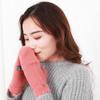 Plush Winter Gloves Screen Touchable Hand Warmer Fashion Glove Bracers  For Woman Girls