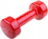 Cast Iron Dumbbell Vinyl Dumbbell 2Kg