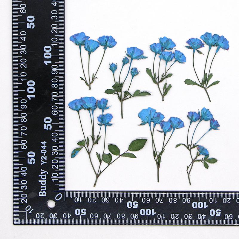 

Moonwei Multi-head Flower Branch Dried Flower Embodiments Plant Specimens Diy Hand-drop Glue Photo Frame Bookmark