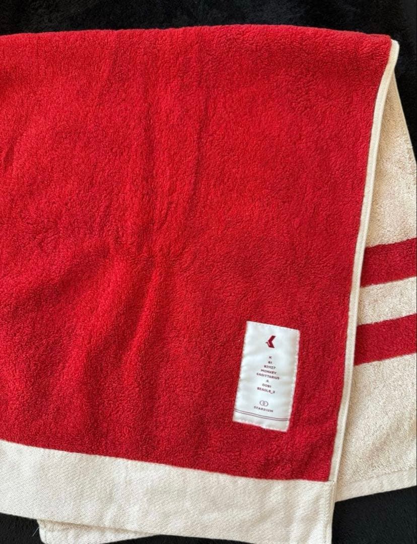 [USED] EXO Chanyeol towel