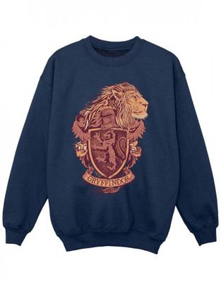 Girls Gryffindor Sketch Crest Sweatshirt