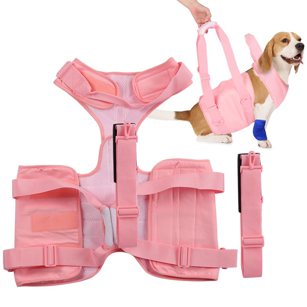 Dog Walking Aid Kit Auxiliary Collar Leash with Lifting Handle Pet Recovery Support for Old and