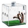 ABBP-Spider Springende Reptielen Container Terrarium Voor Schildpadden Kevers Slakken Hagedissen En Kleine Dieren Kweekbak Groei
