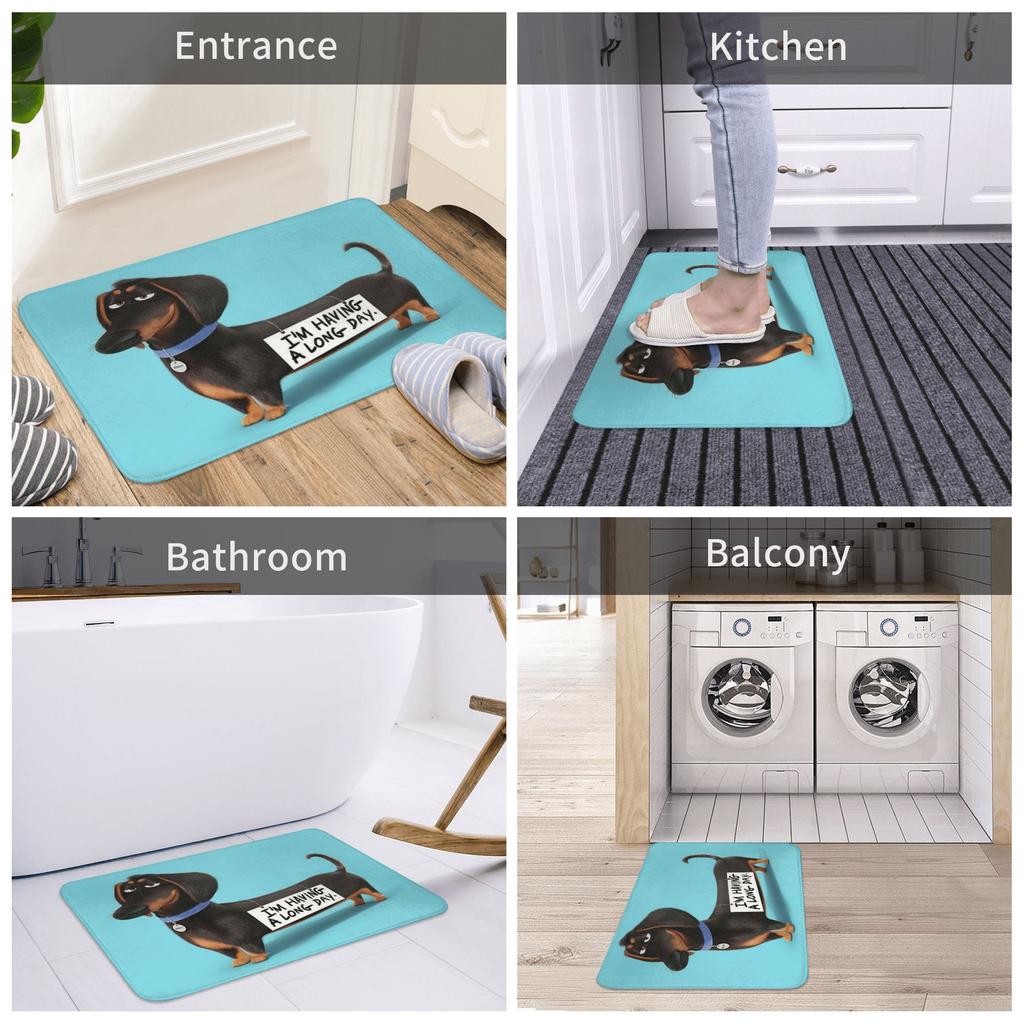 Dachshund Dog Funny Puppy Doormat Non-Slip Kitchen Bath Mat Toilet Floor Door Entrance Carpet Rug