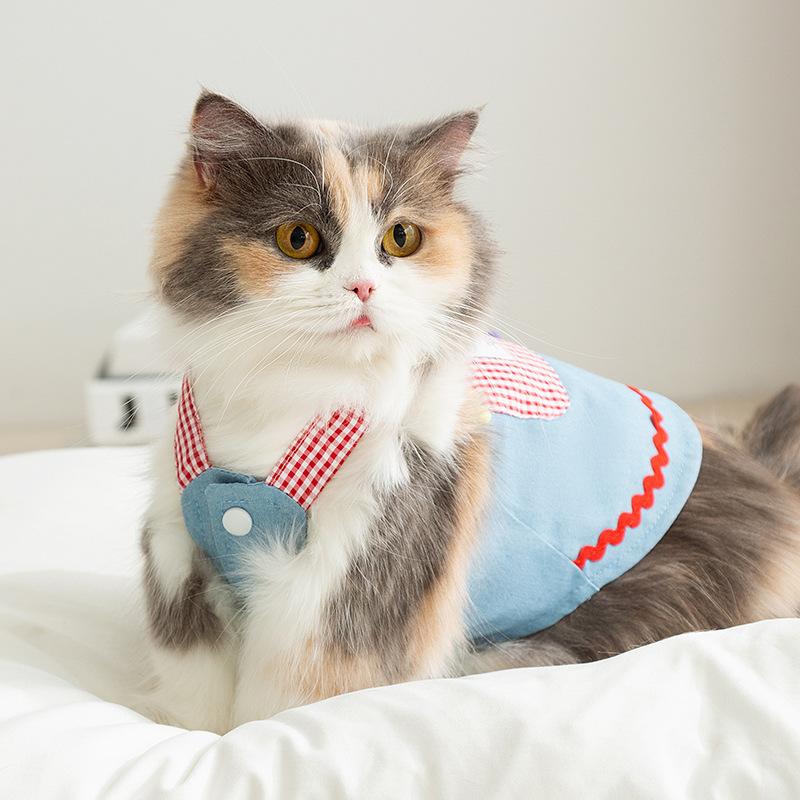 Cat Clothes Spring Thin Plaid Pocket Denim Strap Skirt Blue Cat Kitten Hairless Cat Dog Pet Clothes