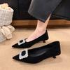 Temperament Black Shallow Mouth Pointed Toe Spring and Autumn 2026 Rhinestone Single Shoes Commuting French New Style