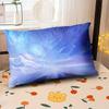 Starry Sky Sunset Sea Pillow,2D Night Scene Pillow Core and Case Set,Aesthetic Pillow for Student Dormitory