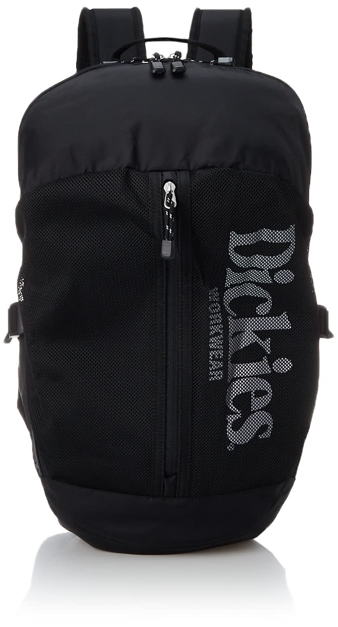 

Dickies Seethrough Logo Backpack