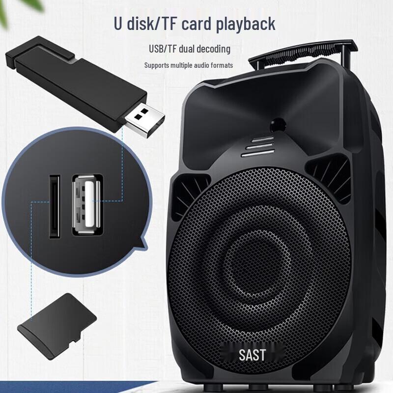 SAST A89 Series 12-inch Bass Stage Speaker (CN Version)