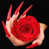 5D DIY Diamond Painting Rose Flower Diamond Embroidery Fresh Flowers Cross Stitch Full Round Drill Manual Home Decor Gift