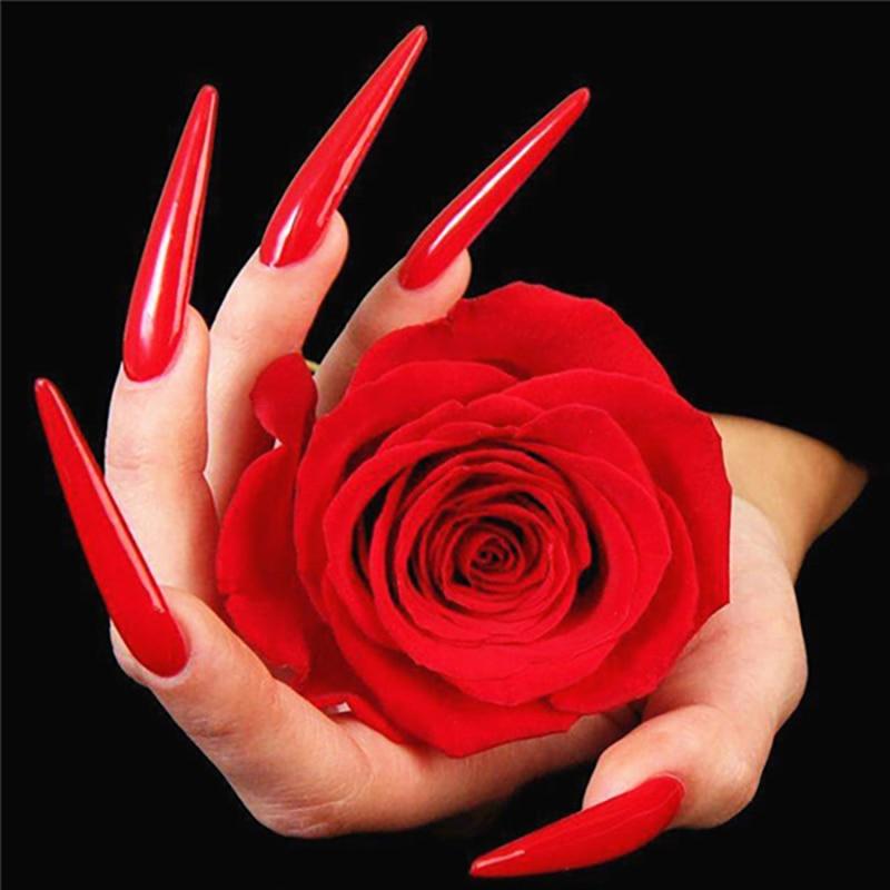 5D DIY Diamond Painting Rose Flower Diamond Embroidery Fresh Flowers Cross Stitch Full Round Drill Manual Home Decor Gift