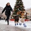 Dog Boots Warm Pet Protector Shoes Comfortable Pet Boots For Small Medium And Large Dogs Winter Hiking Outdoor Walking Camping