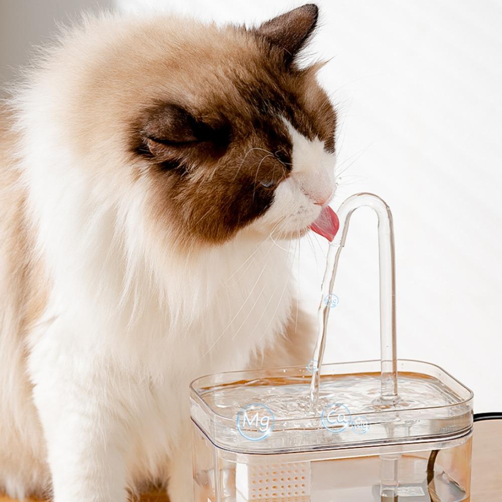 

USB Powered Cat Drinker Auto Filter Cats Water Dispenser Pet Water Dispenser Filtering Drinker